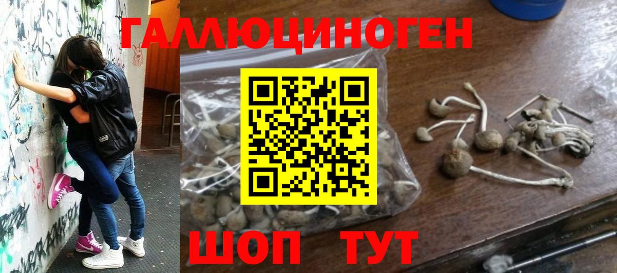Галлюциногенные грибы мухоморы  Вход с VPN  Кузнецк 